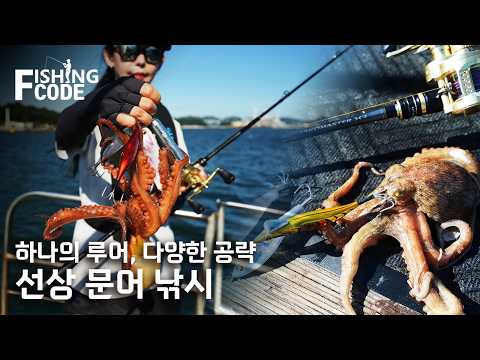 【26피싱코드】선상 문어 낚시, 하나의 루어를 다양...