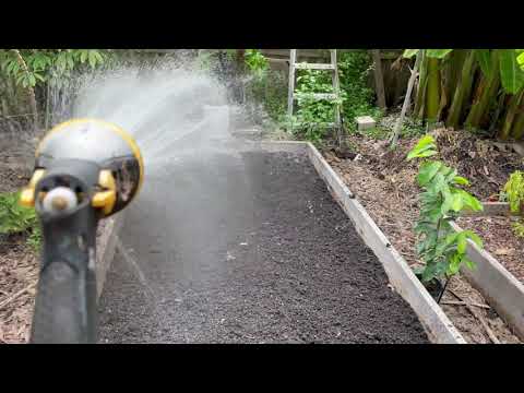 , title : 'PLANTING 2500 COWPEAS IN 60 SQFT | CENTRAL FLORIDA GARDENING'