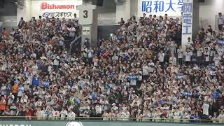 20241121　#プレミア12日米戦の東京ドーム外野佐野恵太応援