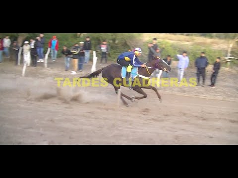 EL CANTOR - PISTA HIPICA EL ÑANARCAJ 19-07-2023