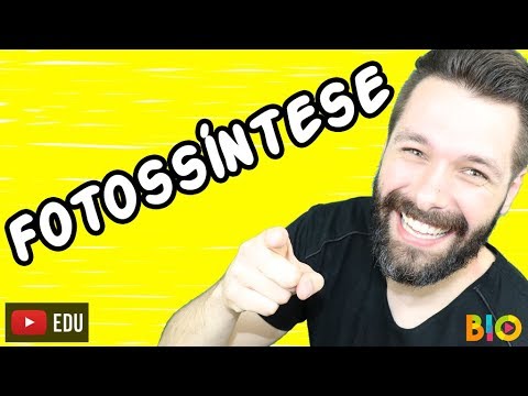 FOTOSSÍNTESE - FASE CLARA E ESCURA - AULA COMPLETA | Biologia com Samuel Cunha