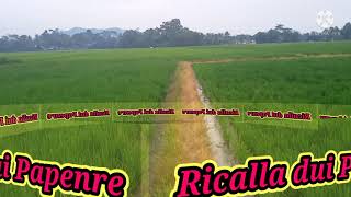 Download lagu Ricalla Dui Papenre Cover:Muslimin,::arr:Risman mp3