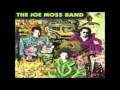 The Joe Moss Band — Jealous