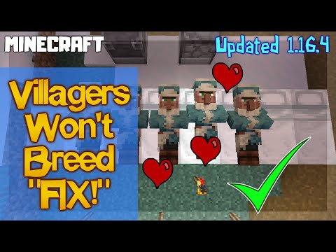 Villagers Won't Breed! FIX 1.16.4 MINECRAFT Updated