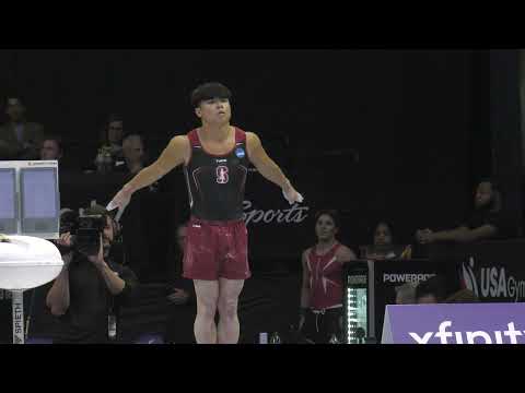 Asher Hong  - Vault 2 -  2025 Xfinity U.S. Championships -  Senior Men Day 1