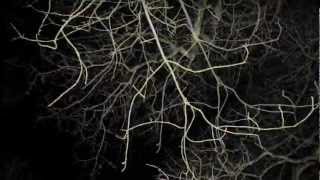 Guillaume & the Coutu Dumonts / Trentemøller - Odyssee Chameleon