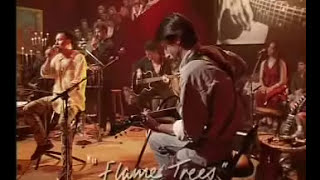 Jimmy Barnes - Flame Trees