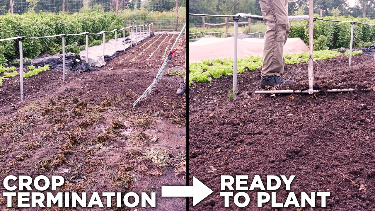 How To Transition Beds Between Crops Quickly: Tilmor E-Ox