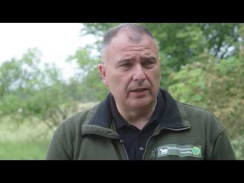 Engagement am Grünen Band - Das Biosphärenreservat Drömling