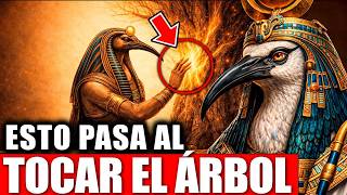 Thoth REVELÓ por qué DEBES TOCAR un ÁRBOL todos los días (No hablan de esto)