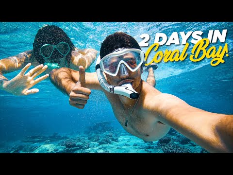 Unwinding in Paradise! Exploring Coral Bay & the Ningaloo Reef