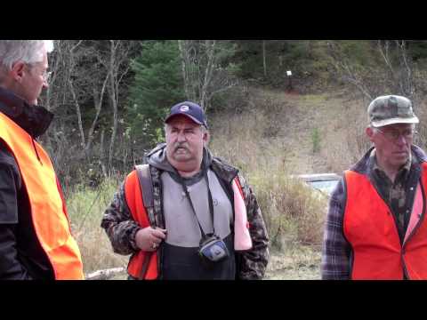 La guerre de l'orignal