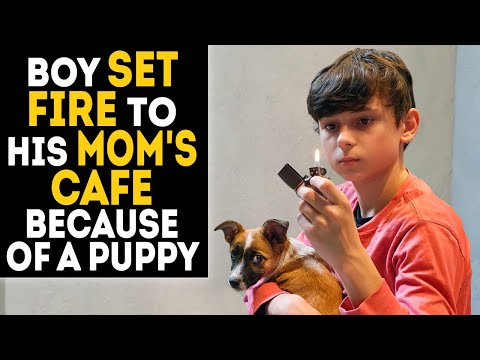 Junge steckt wegen eines Welpen das Café seiner Mutter in Brand