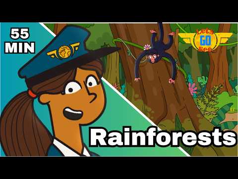 A Pilot’s Jungle Journey ✈️ | Explore the Amazon Rainforest | Kids Travel & Nature Education - Kingdom Kids Zone, Little Learners - Let's Go See