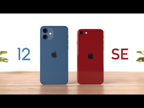 iPhone 12 vs iPhone SE: Which one Should you Buy!