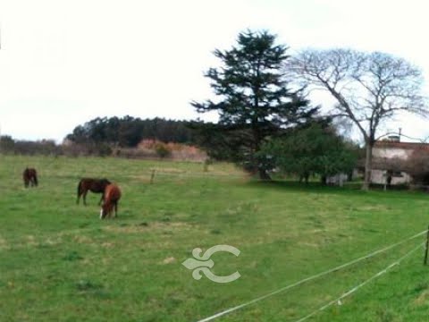 Video de YouTube - Chacra En Montevideo Ref. 6304