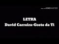 David Carreira-Gosto de Ti(Letra)