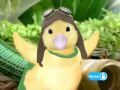 A Look Inside Wonder Pets