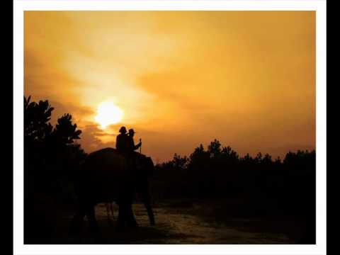 State of Bengal - Elephant Ride [HQ]