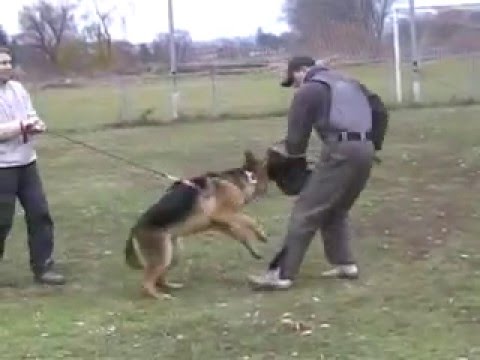 Henny z Gargamellu - protection