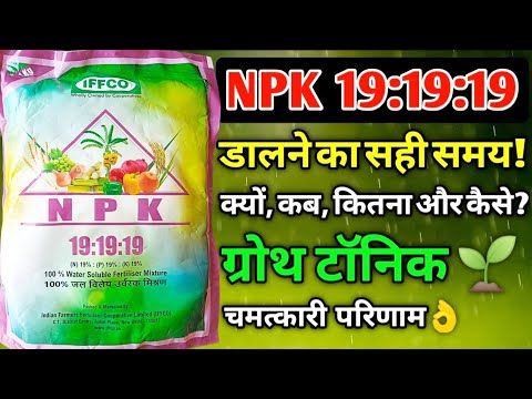 NPK 19 19 19☺️ water soluble fertilizer | water soluble fertilizer| #gehu#agri @Sandeepagriscience