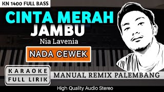 Download lagu CINTA MERAH JAMBU [CEWEK] REMIX PALEMBANG | KARAOKE FULL LIRIK mp3