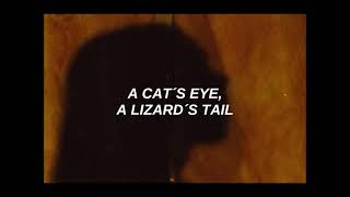 Tito &amp; Tarantula - Strange Face [ L Y R I C S ]