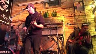 Average Mammals - Let Loose