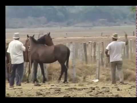 Deivis Herrera La Tumba Quedó Vacía (Video Oficial)