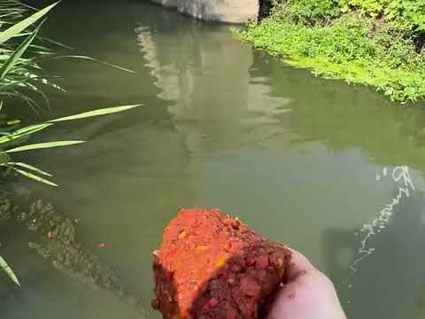 Fishing tip using good bait easy to get fish Ep034