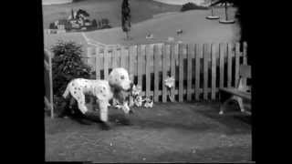 Watch With Mother The Woodentops