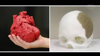 Mimicking the growth of human organs through 3D bi