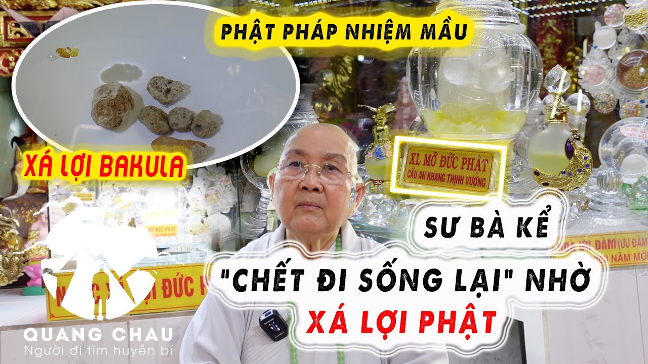 Vi Diệu XÁ LỢI BAKULA có khả năng Cứu Người và sự Mầu Nhiệm của XÁ LỢI MỠ | Hoàng Ân Cổ Tự P2