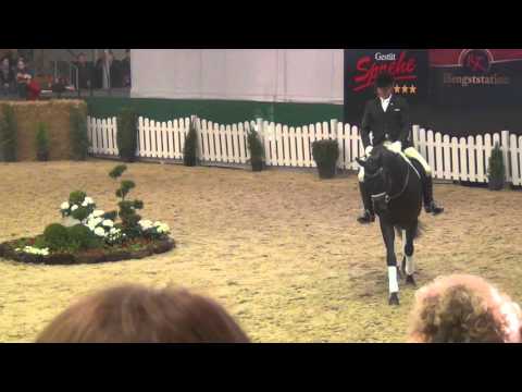 Morricone : Millenium X Rubin Royal X De Niro ( 2012 ) - Handorf 2016