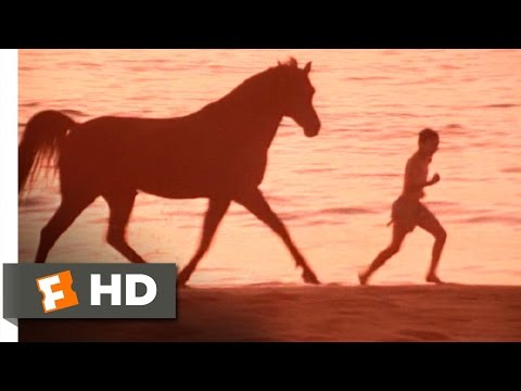 The Black Stallion (7/11) Movie CLIP - Boy and Horse (1979) HD
