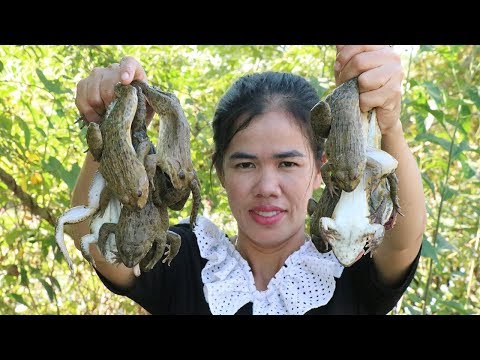 Cooking Frog Soup Delicious Recipe -  Frog Soup Cooking  - Traditional Food