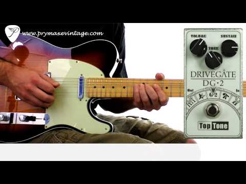 Top Tone Drive Gate DG-2 Fuzz