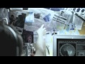 MOMOFOKO - STILL NEED TO DANCE (OFFICIAL ...