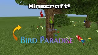 Minecraft Bird Cinematic