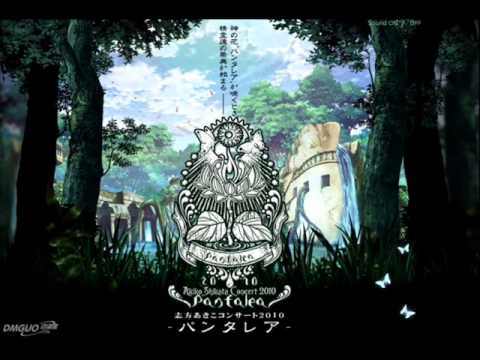 Akiko Shikata - Pantalea