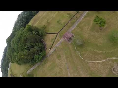 20190519扶輪公園freestyle fpv