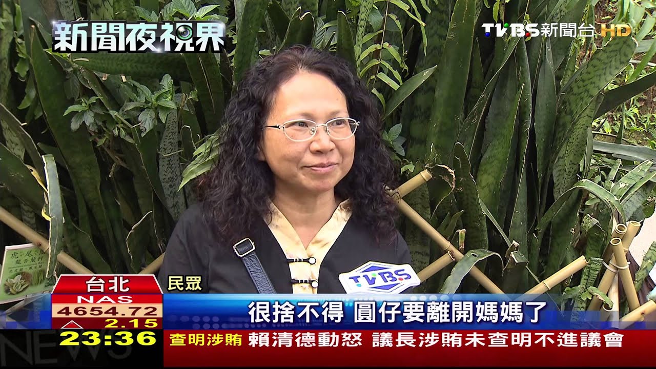 媽媽掰掰！　圓仔1歲半明起「獨居生活」