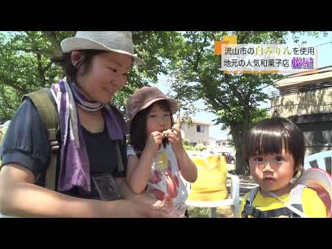 『うんがいい！朝市』2019年度 マス・コミュニケーション学科演習実習作品
