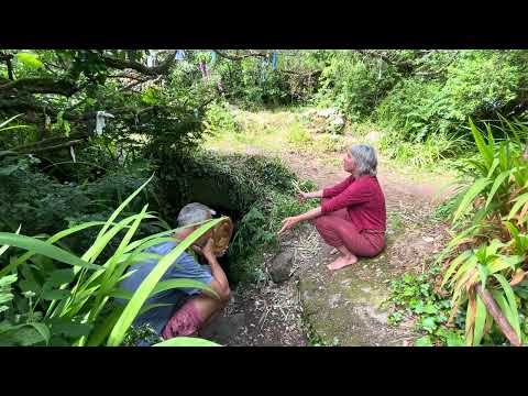 Gentle blessings of Sancreed Holy Well and Chapel