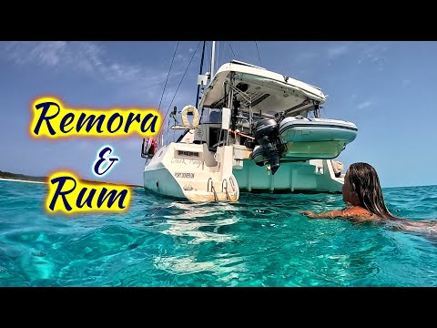 SDA212 Repairs, Remoras & Raising a Toast