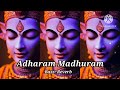 Adharam Madhuram Bass Reverb Krishna Bhajan Madhurashtakam Krishna Bhakti Song Lofi
