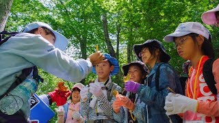 サントリー次世代環境教育「水育（みずいく）」