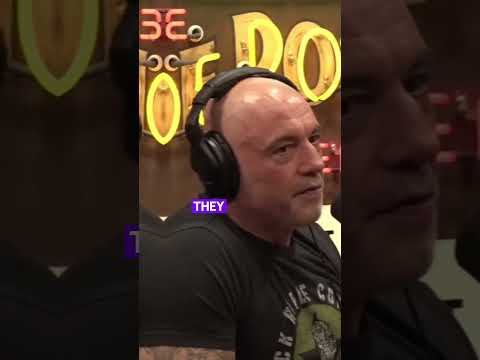 Singapore’s Zero-Waste Revolution 🌏