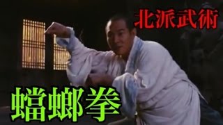 【中国武術・カンフー基本講座】蟷螂拳とはどんな拳法なのか！