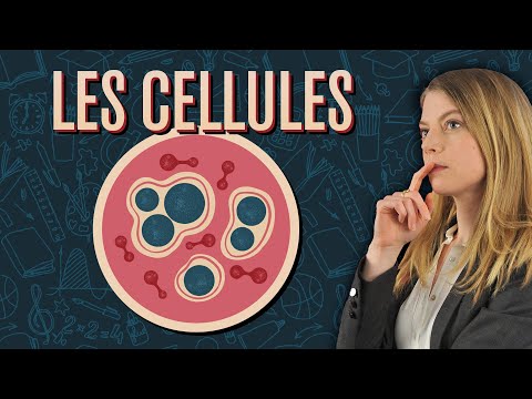 Les Cellules - Réviser et comprendre la biologie, avec Cap'taine Snap